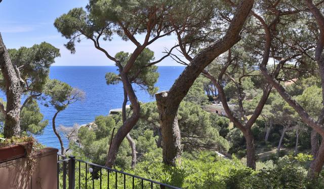 Vacanza Isola d'Elba: Appartamento Capo d\'Arco - Margherita  